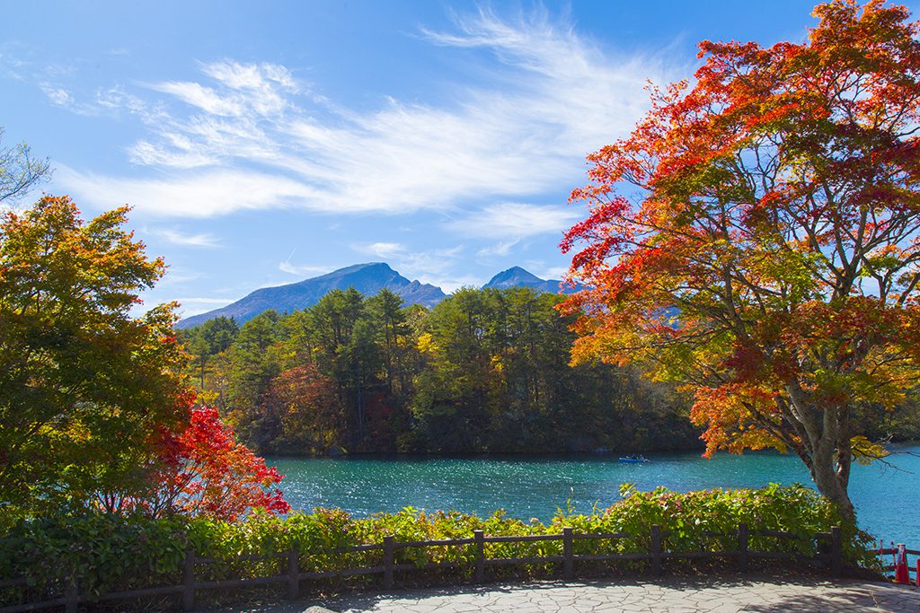 日本紅葉19 紅葉預測 東京 京都 北海道全國各地賞楓景點推介