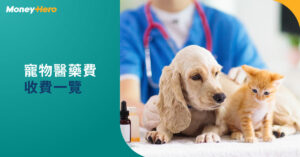 獸醫診所收費｜貓狗絕育價錢2022+寵物洗牙／身體檢查保險包唔包？